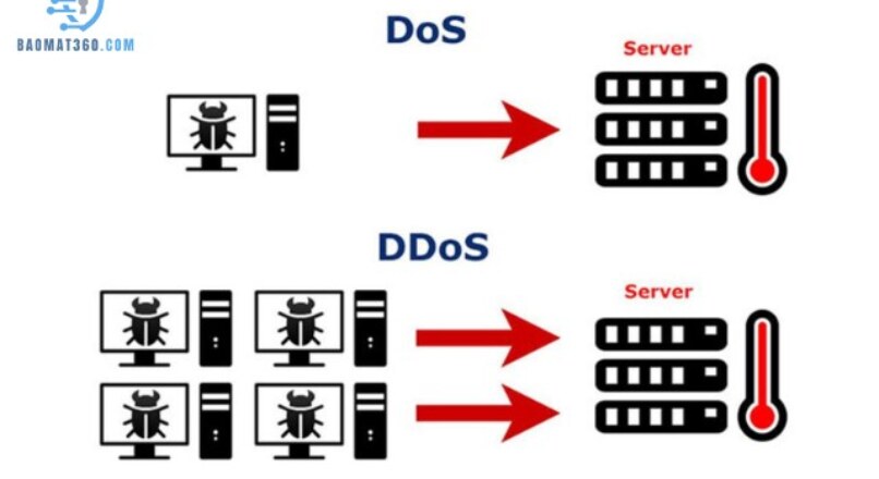 Các Loại Tấn Công DDoS Phổ Biến và Cách Phòng Tránh Hiệu Quả
