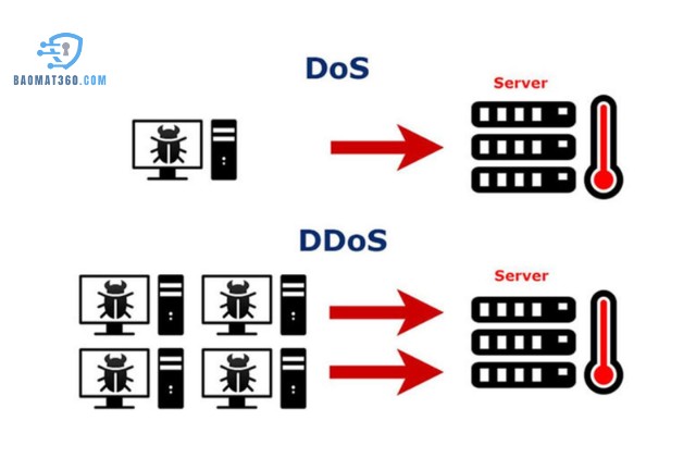 Tấn Công DDoS Là Gì?