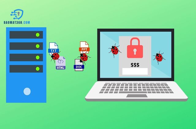 Cách quét virus qua source website